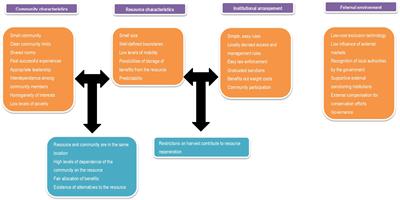 Mangrove community-based management in Eastern Africa: experiences from rural Mozambique